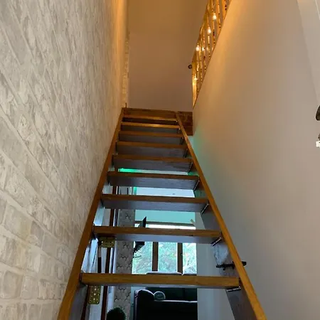 Bendita Locura リャネス