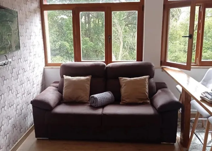 Hotel Bendita Locura